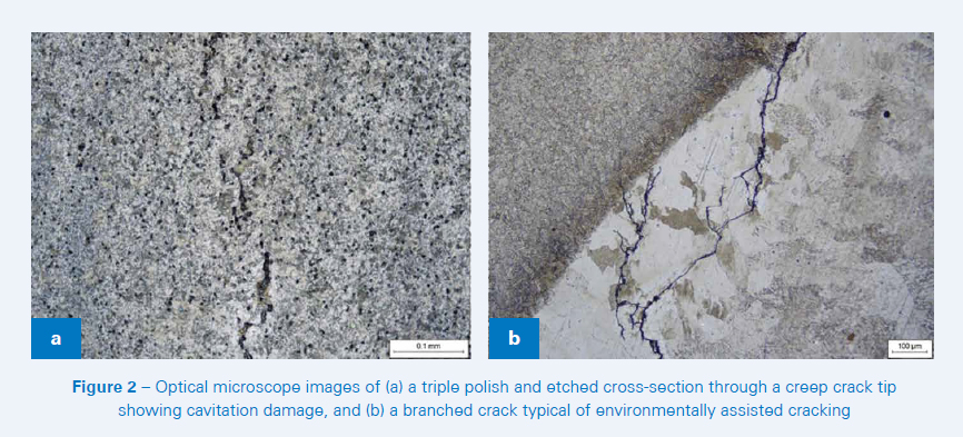 Microscopic images of cracks