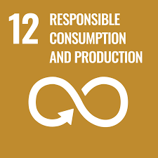 UN Sustainability Goal 12